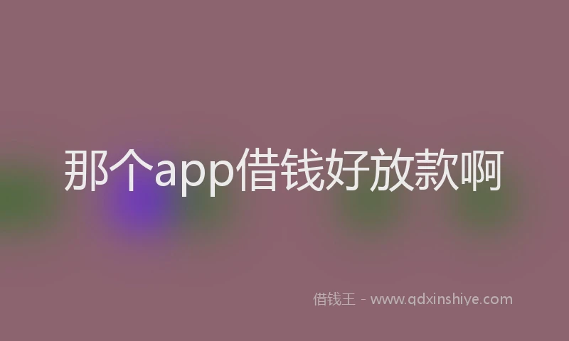 那个app借钱好放款啊