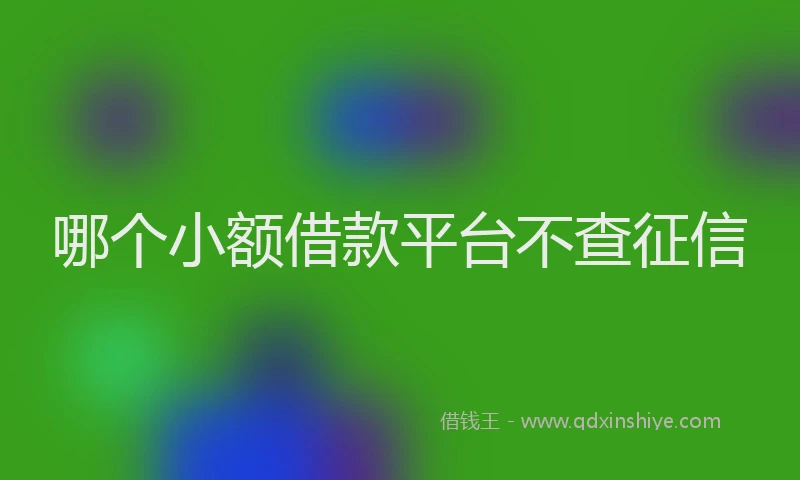 哪个小额借款平台不查征信