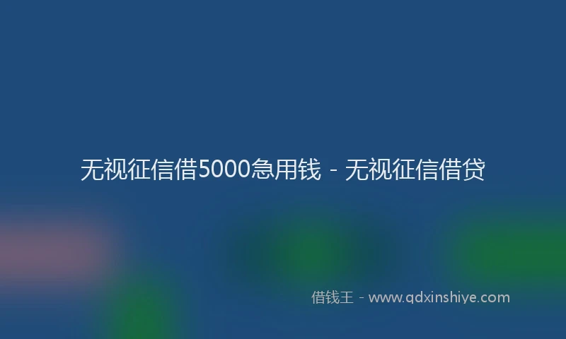 无视征信借5000急用钱 - 无视征信借贷