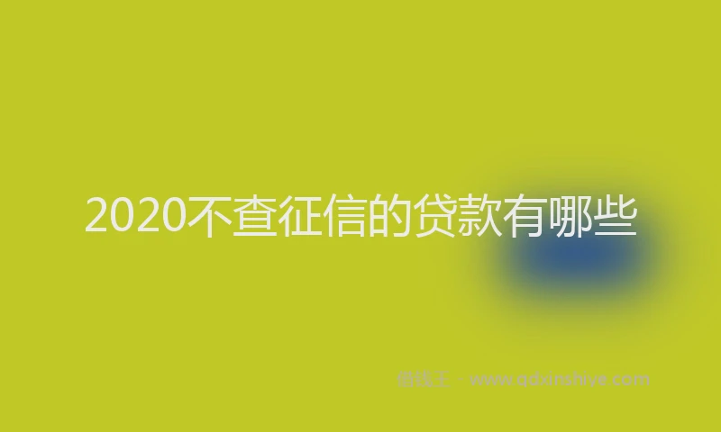2020不查征信的贷款有哪些