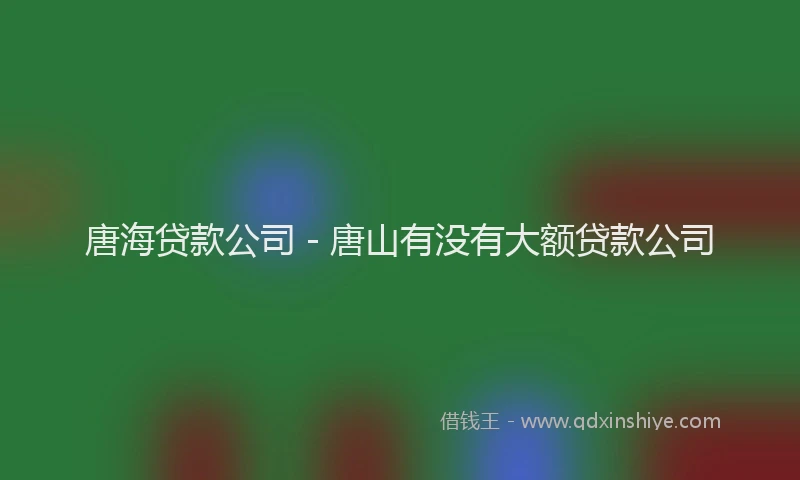 唐海贷款公司 - 唐山有没有大额贷款公司