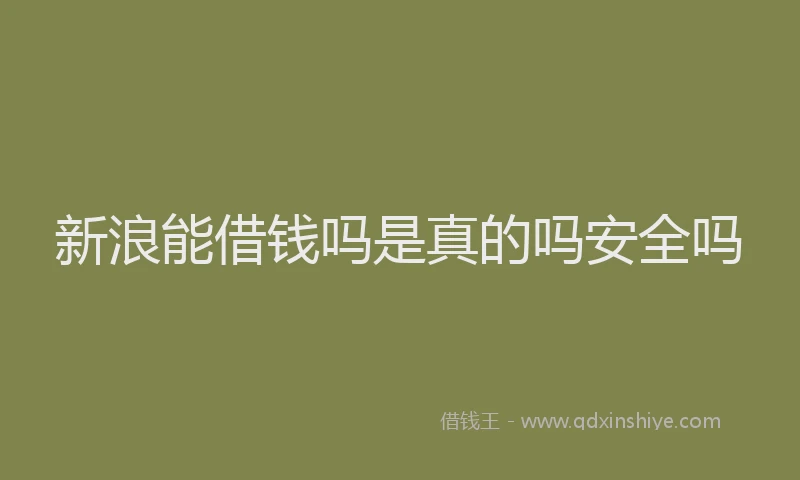 新浪能借钱吗是真的吗安全吗