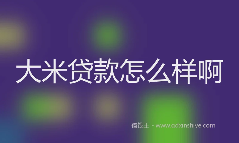 大米贷款怎么样啊
