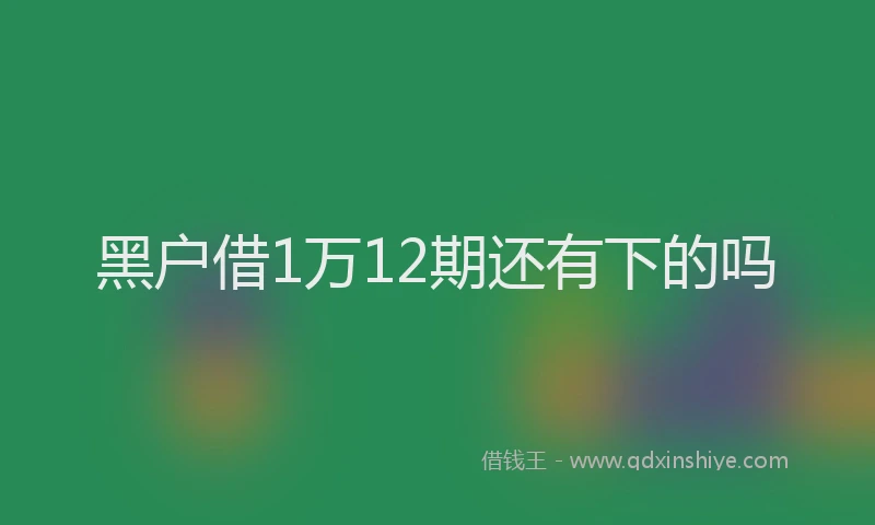 黑户借1万12期还有下的吗