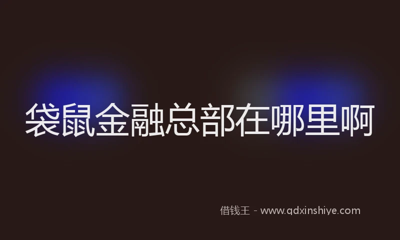 袋鼠金融总部在哪里啊