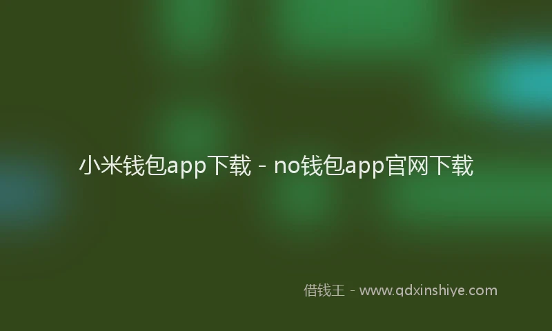 小米钱包app下载 - no钱包app官网下载