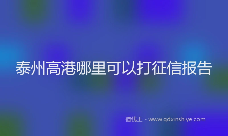 泰州高港哪里可以打征信报告