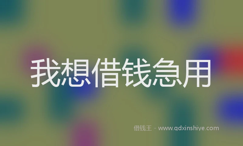 我想借钱急用