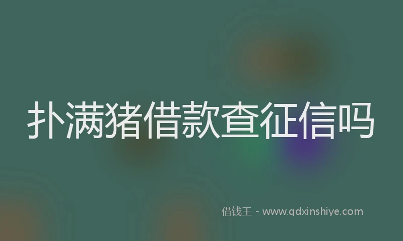 扑满猪借款查征信吗