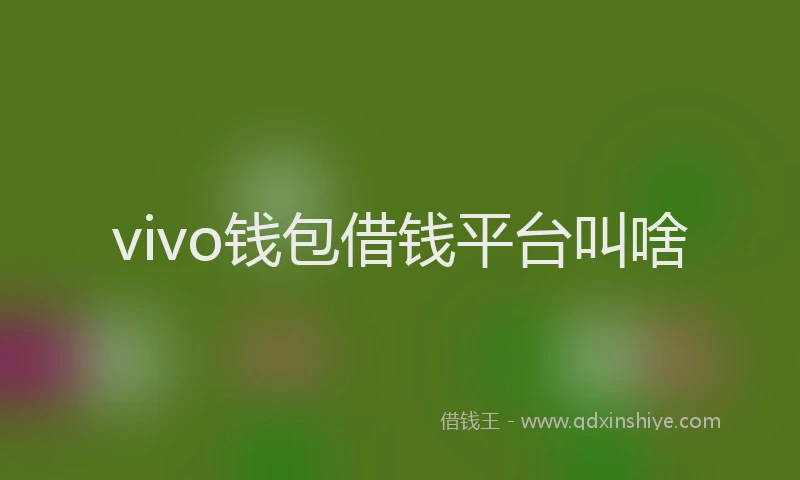 vivo钱包借钱平台叫啥