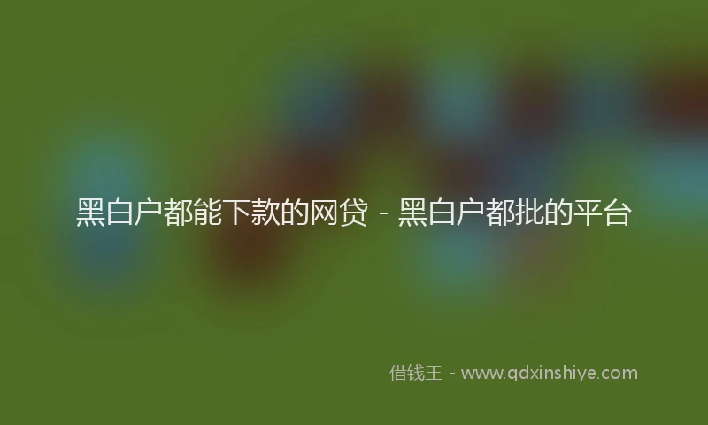 黑白户都能下款的网贷 - 黑白户都批的平台