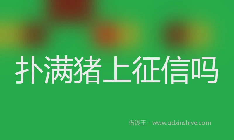 扑满猪上征信吗