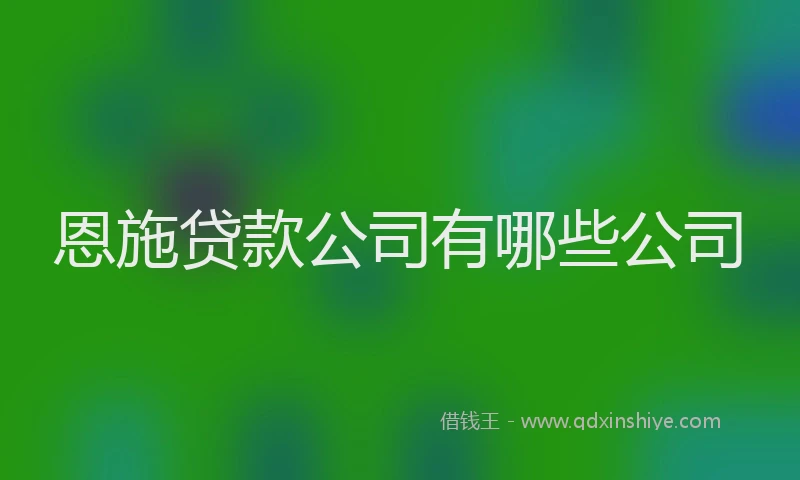 恩施贷款公司有哪些公司