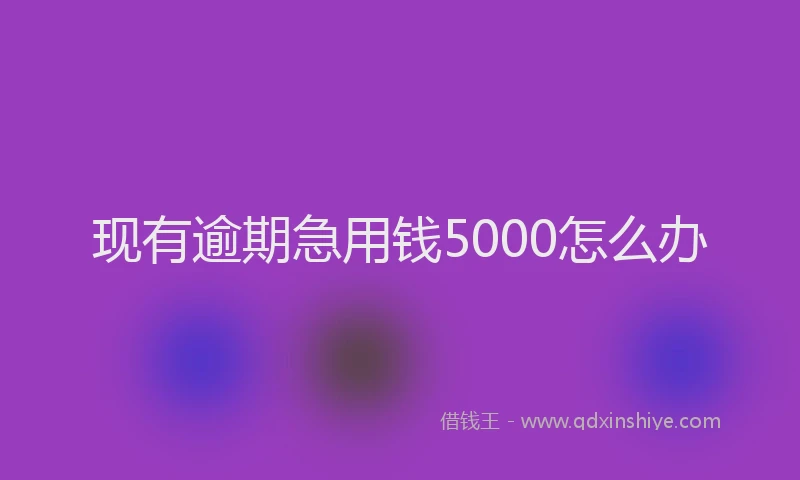 现有逾期急用钱5000怎么办