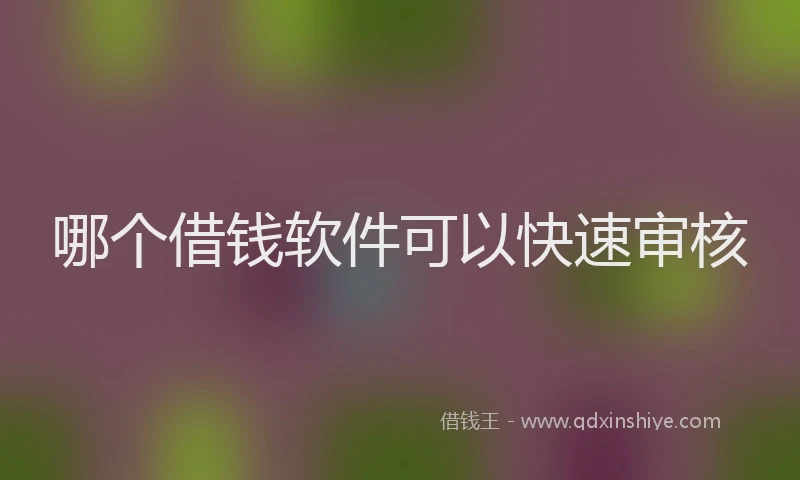 哪个借钱软件可以快速审核