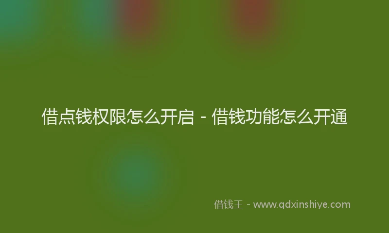 借点钱权限怎么开启 - 借钱功能怎么开通