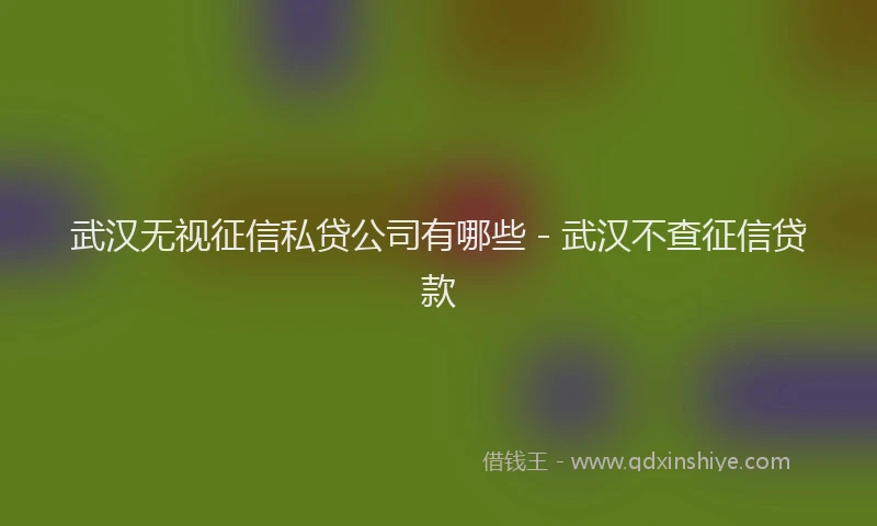 武汉无视征信私贷公司有哪些 - 武汉不查征信贷款