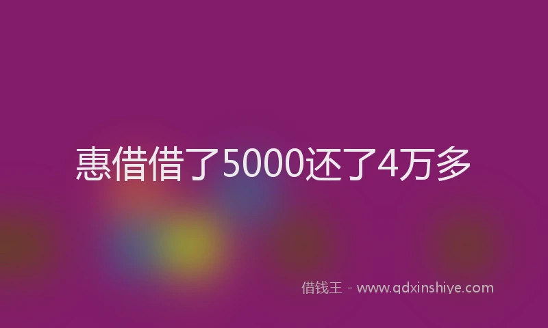惠借借了5000还了4万多
