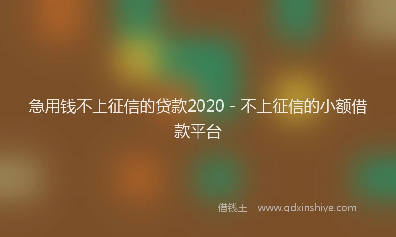 急用钱不上征信的贷款2020 - 不上征信的小额借款平台