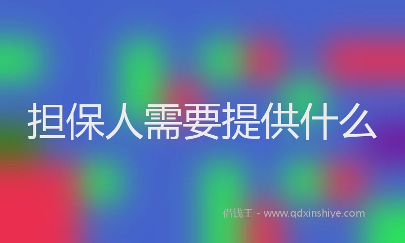 担保人需要提供什么