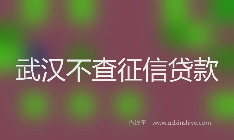 武汉不查征信贷款
