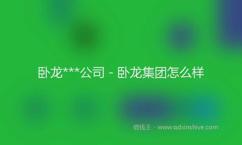 卧龙***公司 - 卧龙集团怎么样