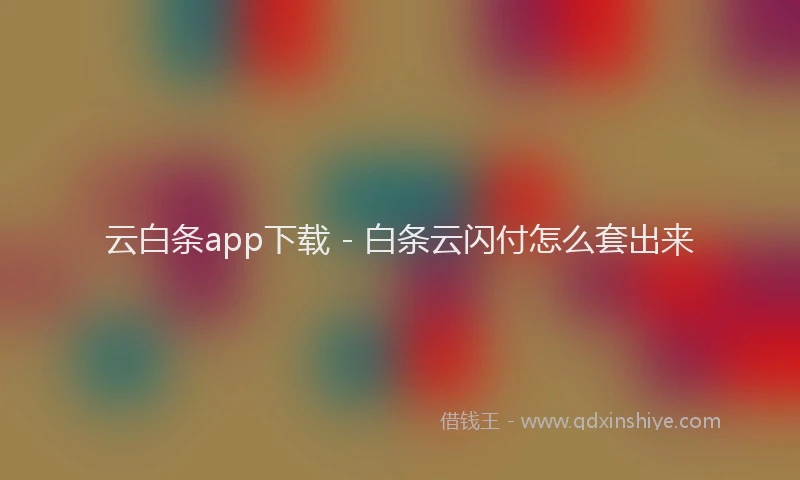 云白条app下载 - 白条云闪付怎么套出来