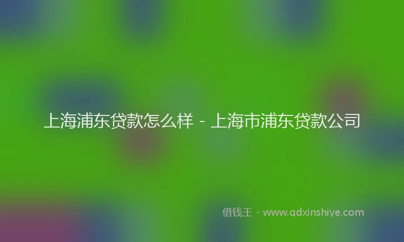 上海浦东贷款怎么样 - 上海市浦东贷款公司