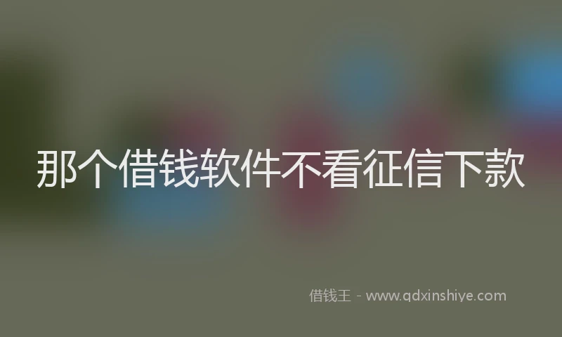 那个借钱软件不看征信下款