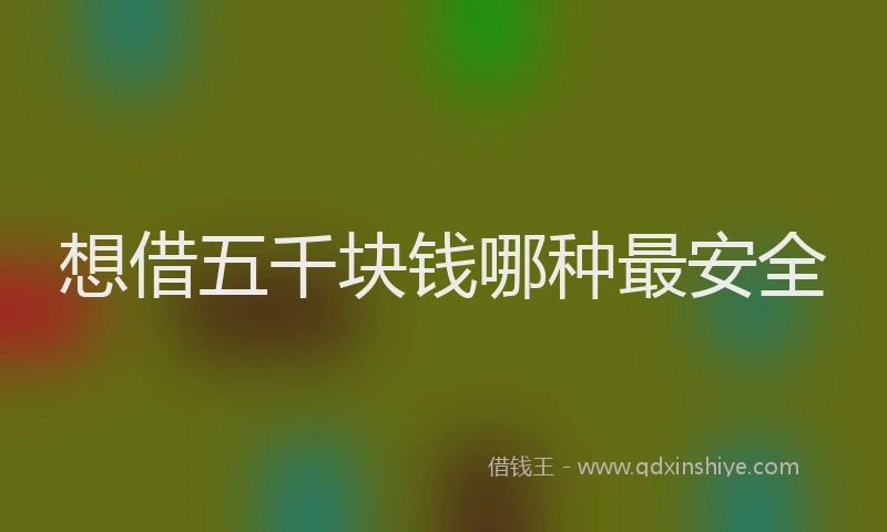 想借五千块钱哪种最安全