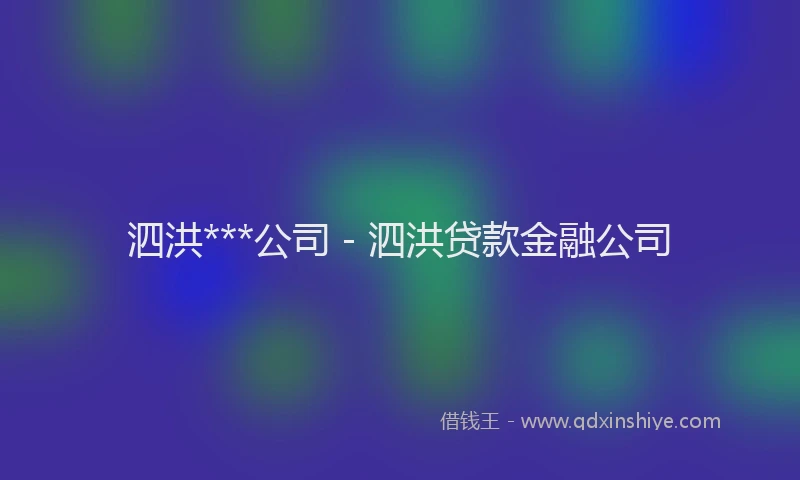 泗洪***公司 - 泗洪贷款金融公司