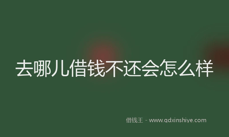 去哪儿借钱不还会怎么样