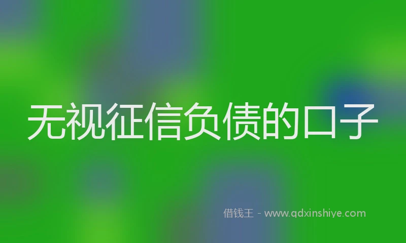 无视征信负债的口子