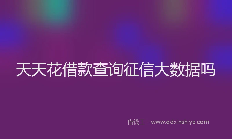 天天花借款查询征信大数据吗