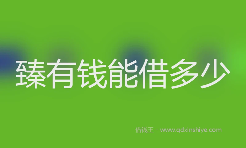 臻有钱能借多少