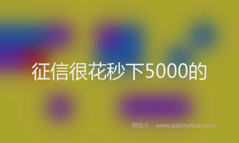 征信很花秒下5000的