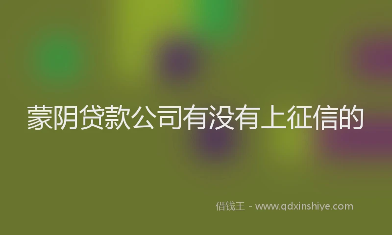 蒙阴贷款公司有没有上征信的