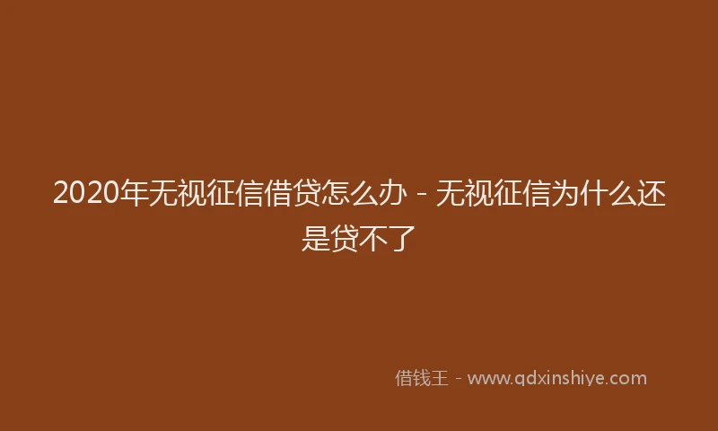 2020年无视征信借贷怎么办 - 无视征信为什么还是贷不了