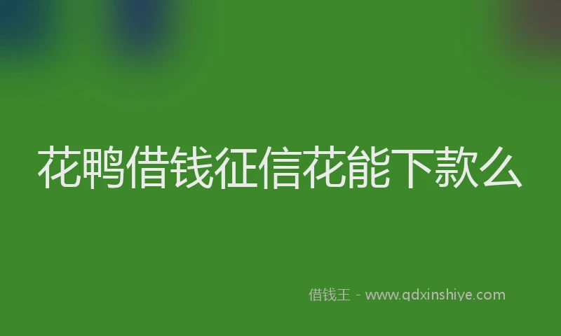 花鸭借钱征信花能下款么
