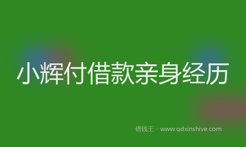 小辉付借款亲身经历