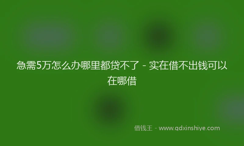 急需5万怎么办哪里都贷不了 - 实在借不出钱可以在哪借