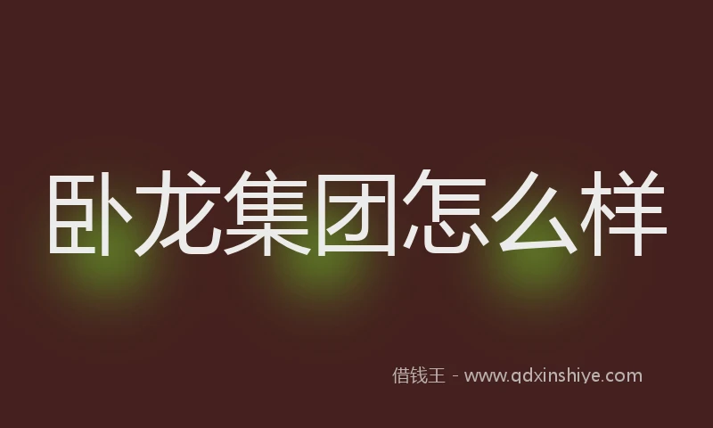 卧龙集团怎么样