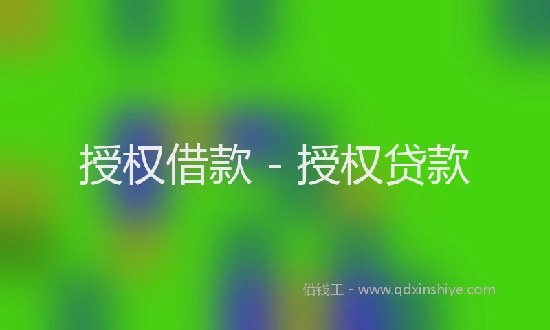 授权借款 - 授权贷款