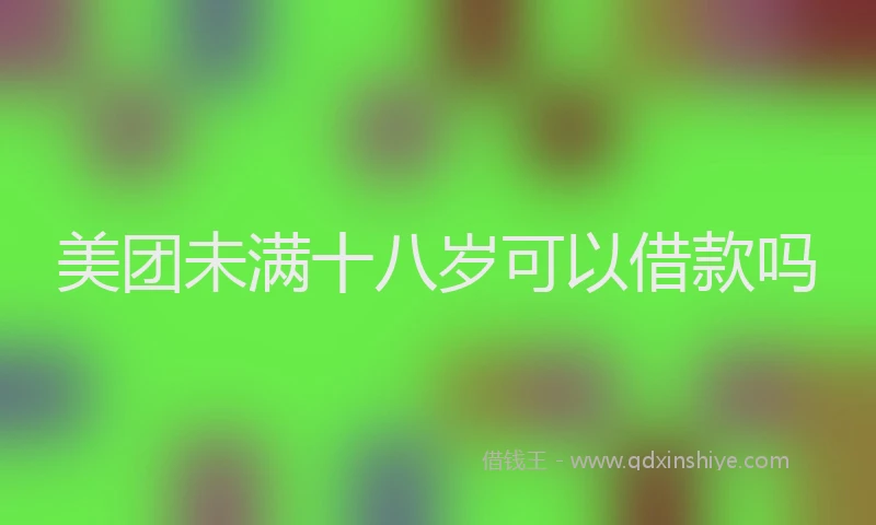 美团未满十八岁可以借款吗