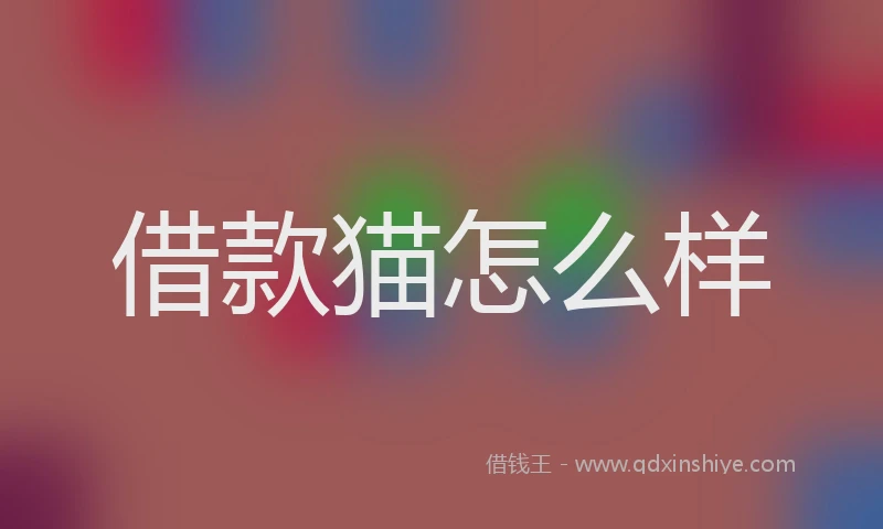 借款猫怎么样