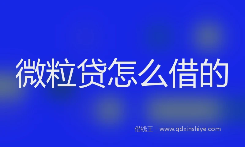 微粒贷怎么借的