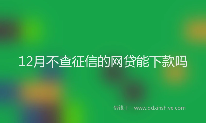 12月不查征信的网贷能下款吗