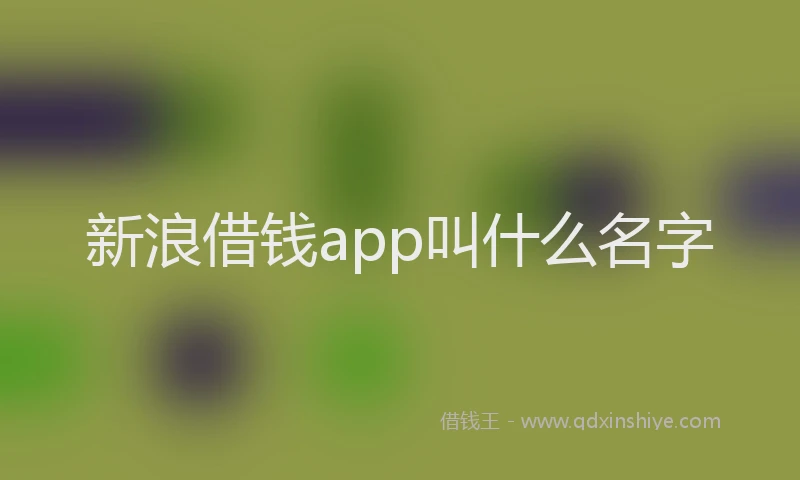 新浪借钱app叫什么名字