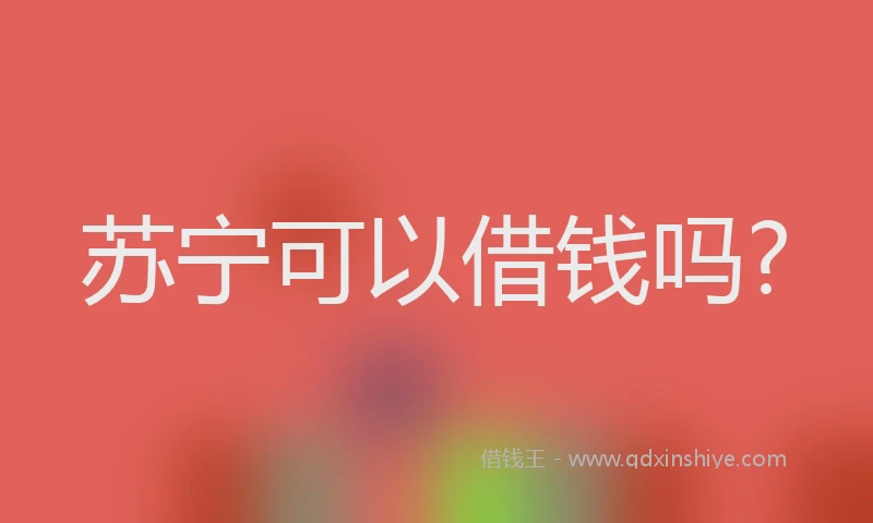 苏宁可以借钱吗?