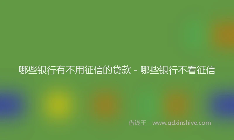 哪些银行有不用征信的贷款 - 哪些银行不看征信